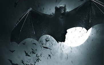 十大外围足球平台app手机版-欢迎8年后井喷!日本、韩国和日本联手参加欧冠比赛(图1) 十大外围足球平台app手机版