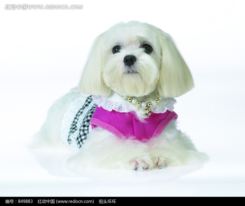 十大外围足球平台app