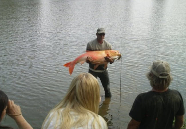 十大外围足球大平台