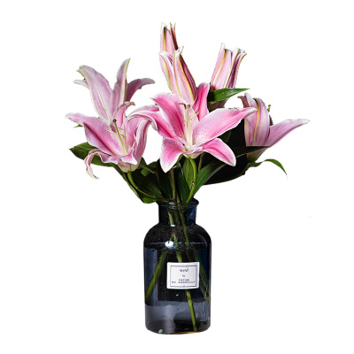 十大外围足球平台app