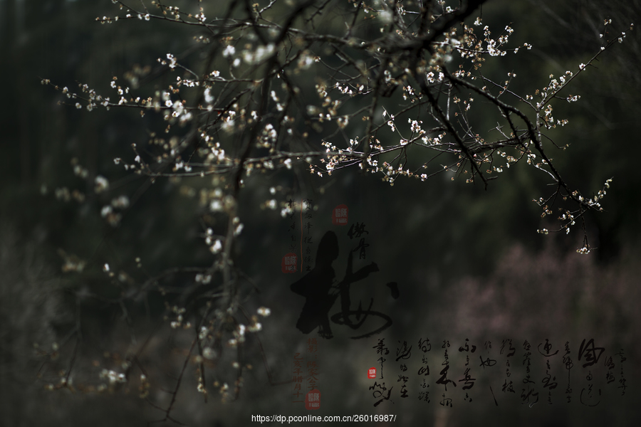 十大外围足球平台app手机版