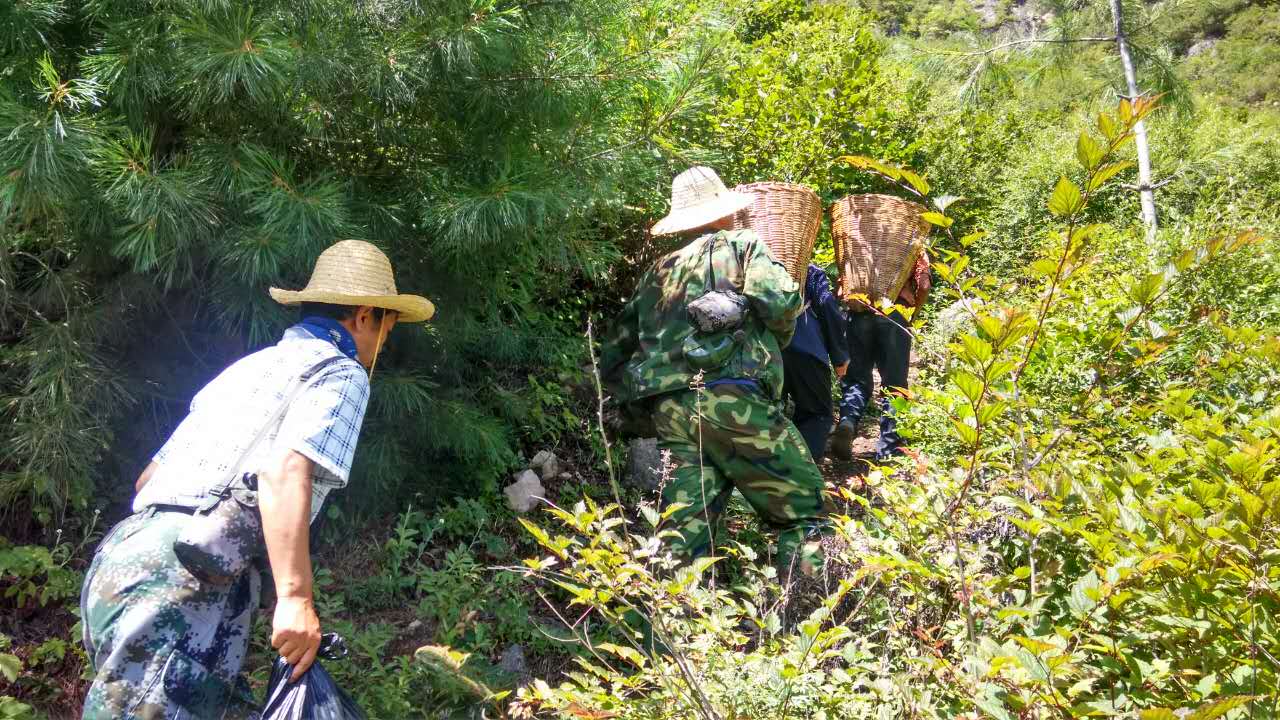 十大外围足球平台app手机版