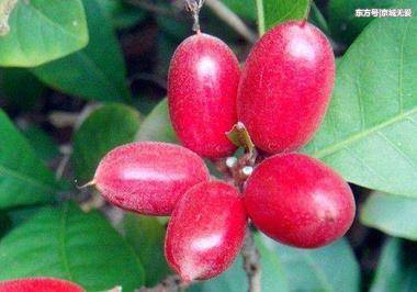 十大外围足球平台app