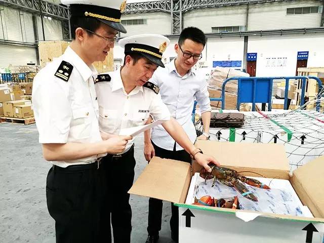 十大外围足球平台app手机版