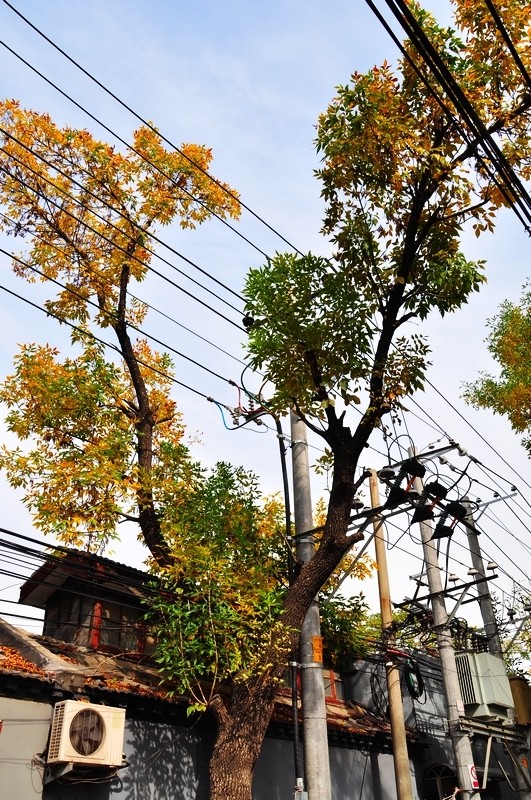 十大外围足球平台app手机版